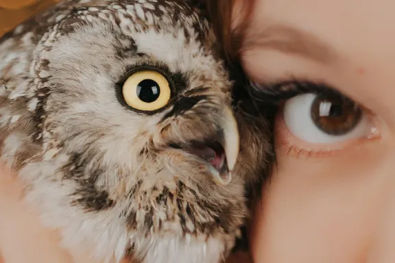 Kasino AllStar Slots Podpora